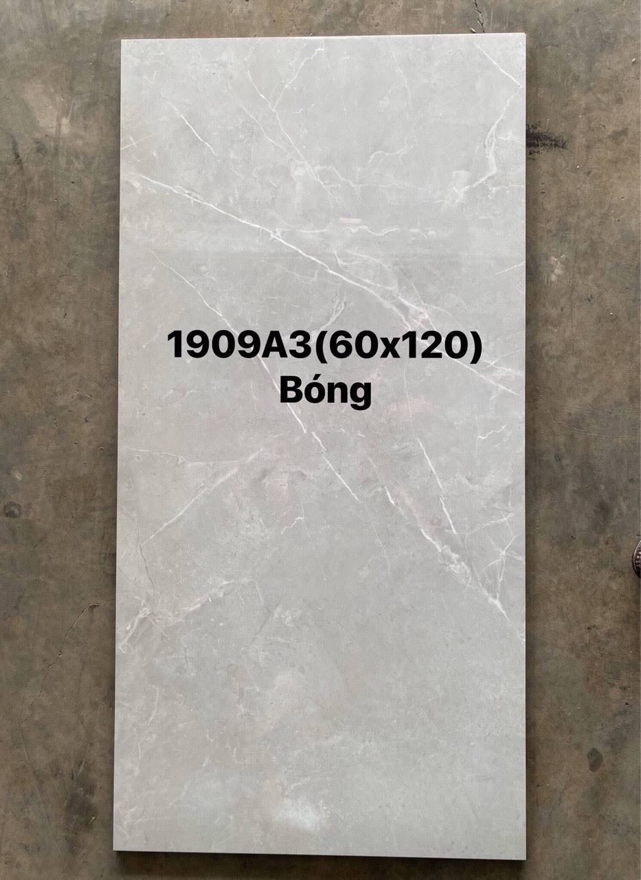 Gạch 60x120